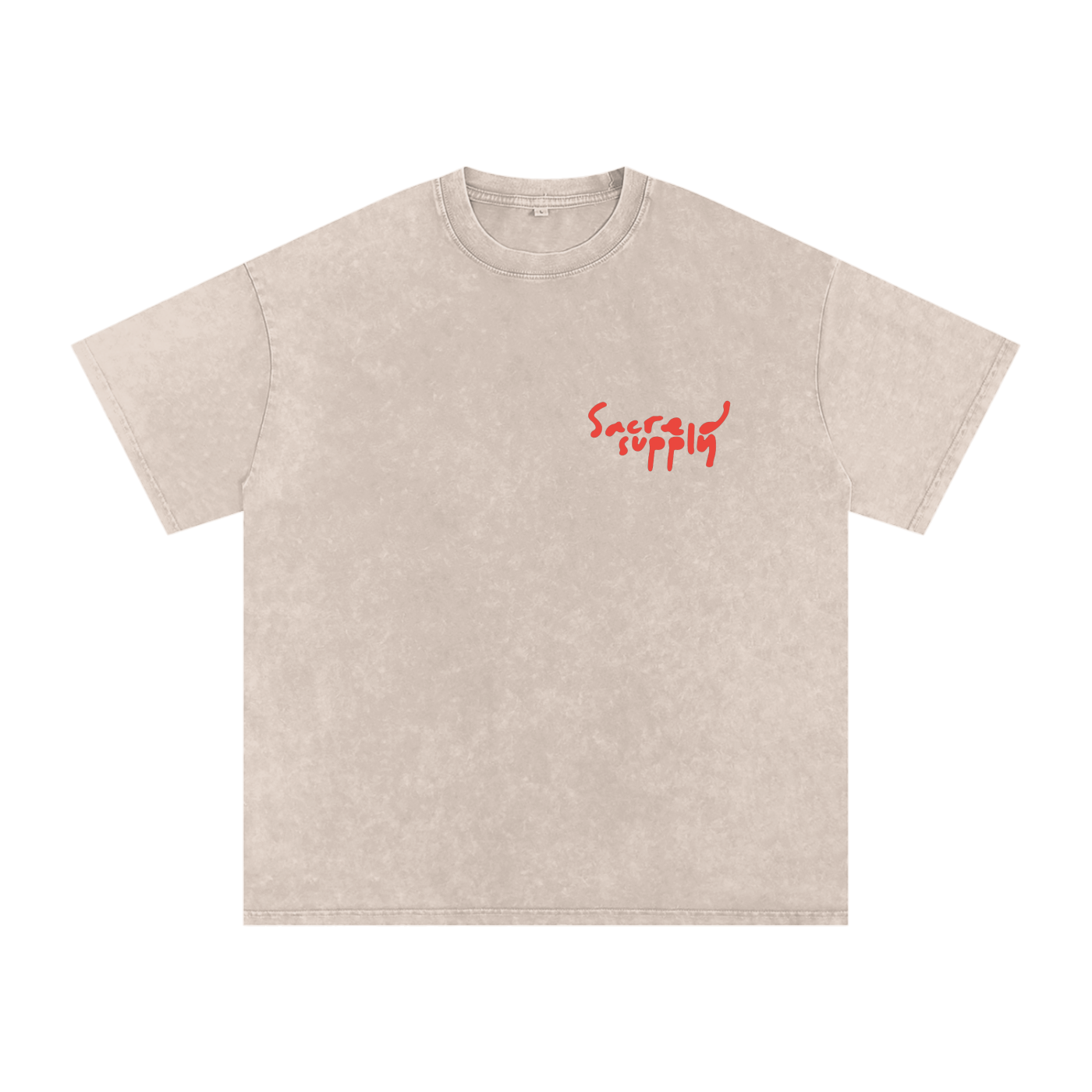 SACRED SUPPLY BIBLE OVERSIZED T-SHIRT